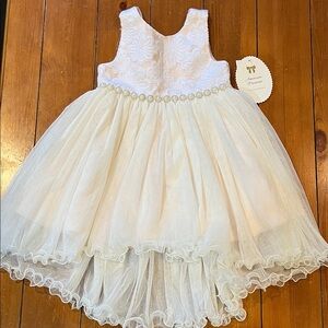 NWT American Princess Pale Pink Floral & Tulle Party Dress Girls Size 4